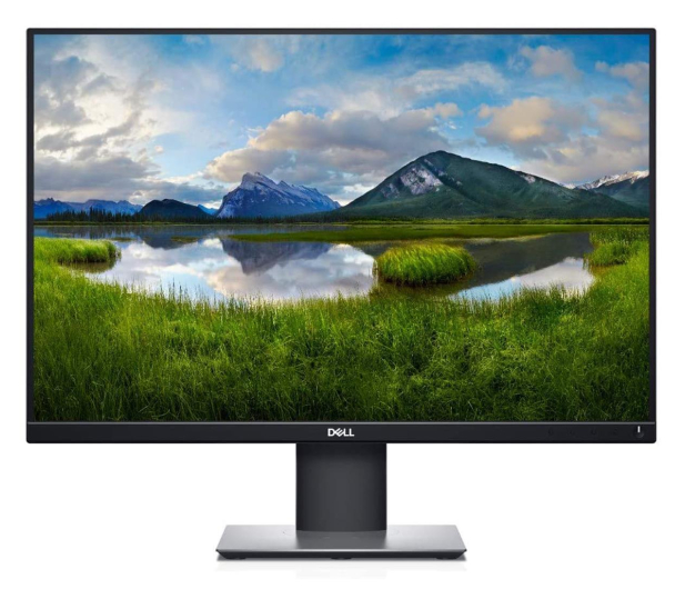 Dell P2421 - 564935 - zdjęcie